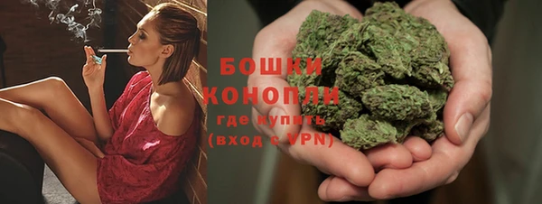 спайс Богданович