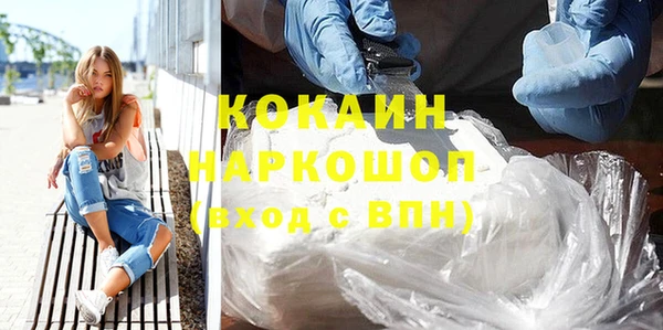 спайс Богданович
