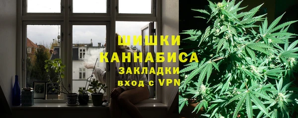 спайс Богданович